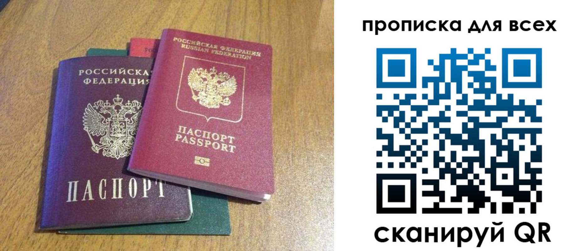 прописка гарантия в Карабаново